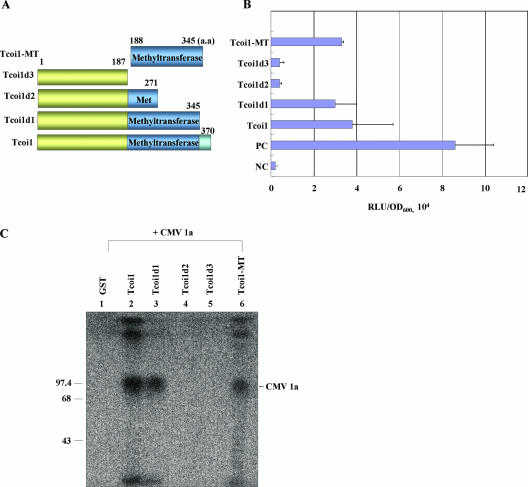 FIG. 3.