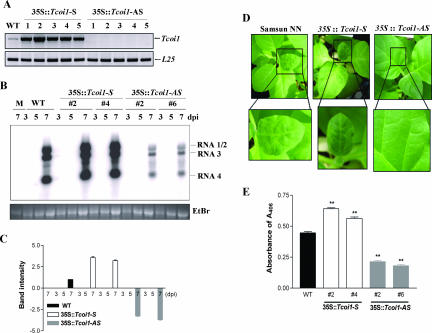 FIG. 6.