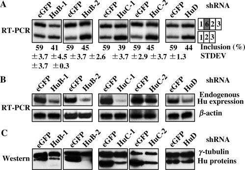 Figure 6.