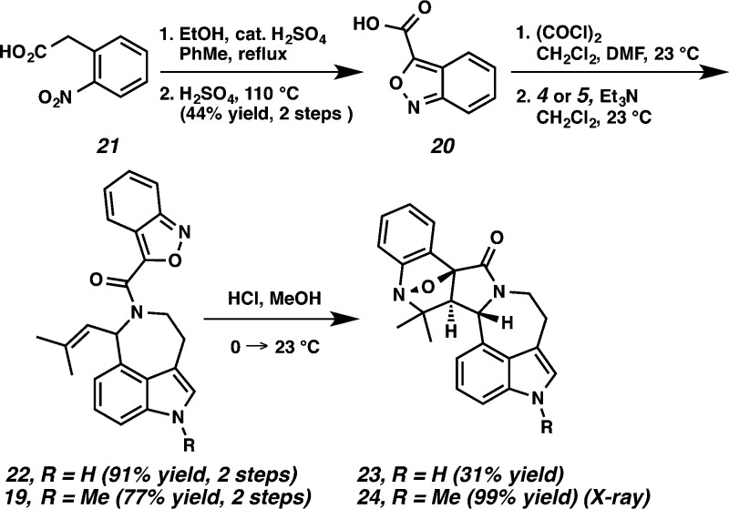 Scheme 5