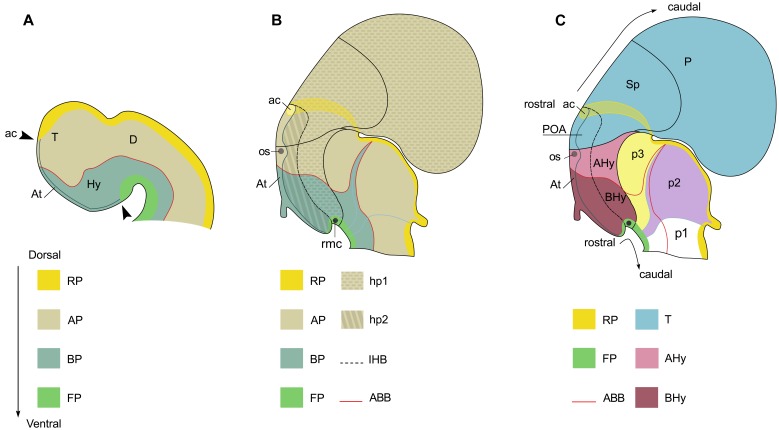 FIGURE 2