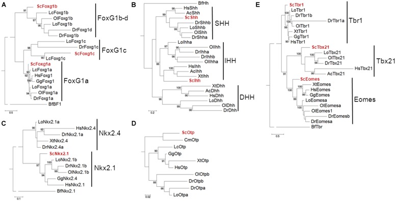 FIGURE 1