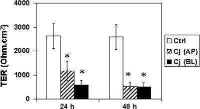 FIG. 1.