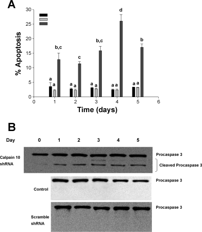 Fig. 9.