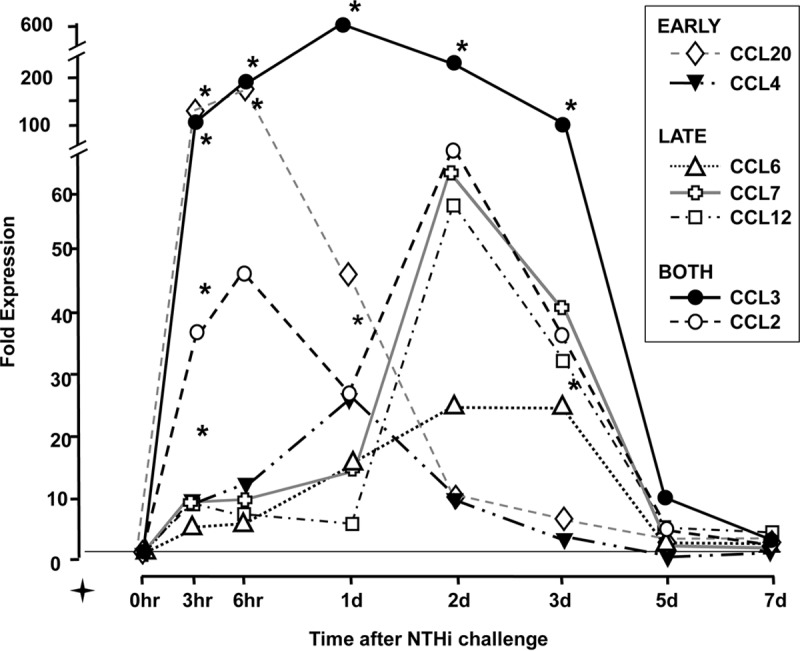 FIG 1