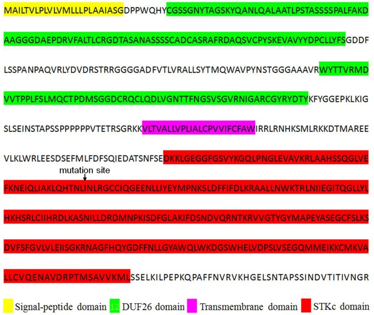 FIGURE 4