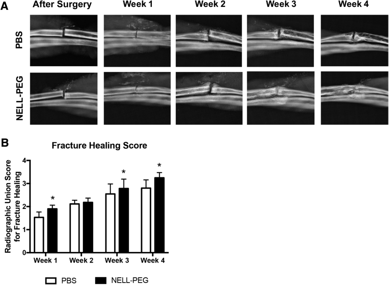 Figure 1