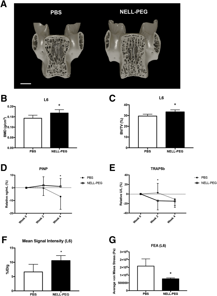 Figure 7