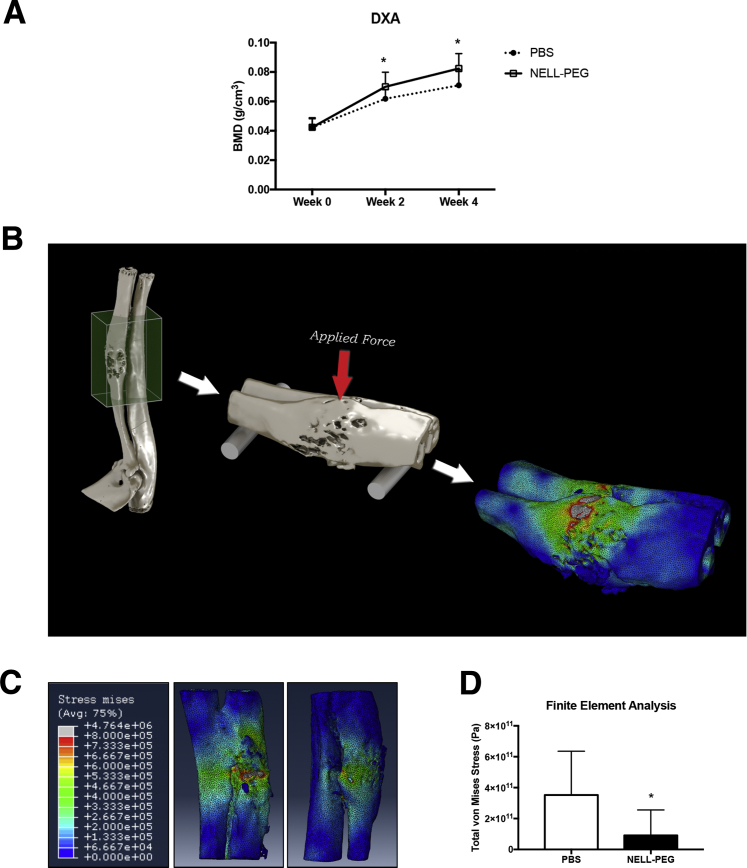 Figure 2