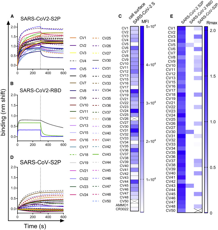 Figure 3