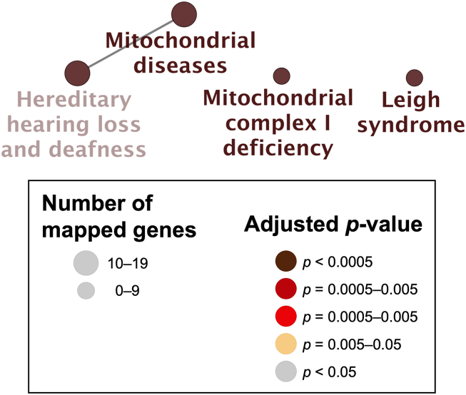 Figure 6