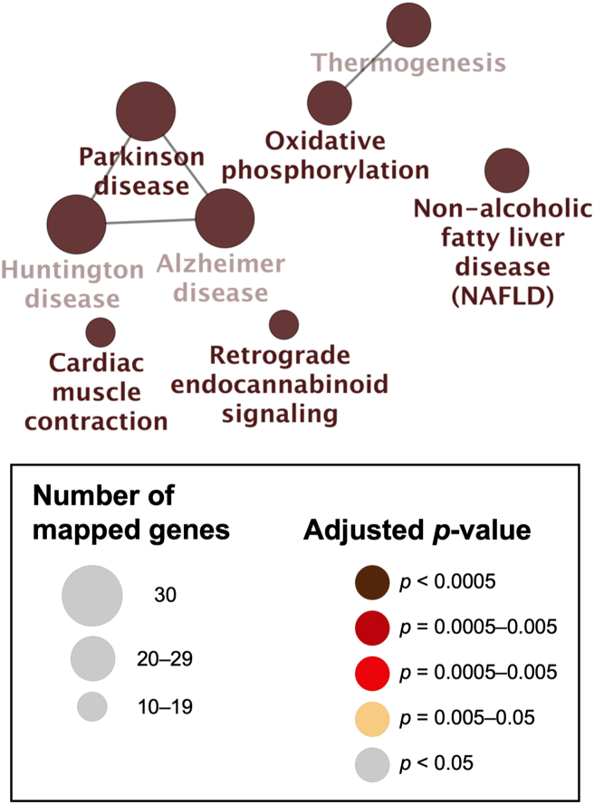 Figure 5