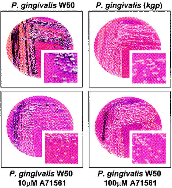 FIG. 7.