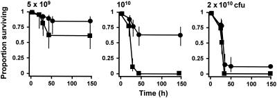 FIG. 9.