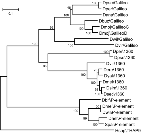 Fig. 4.