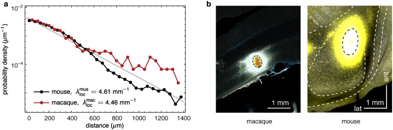 Fig 11