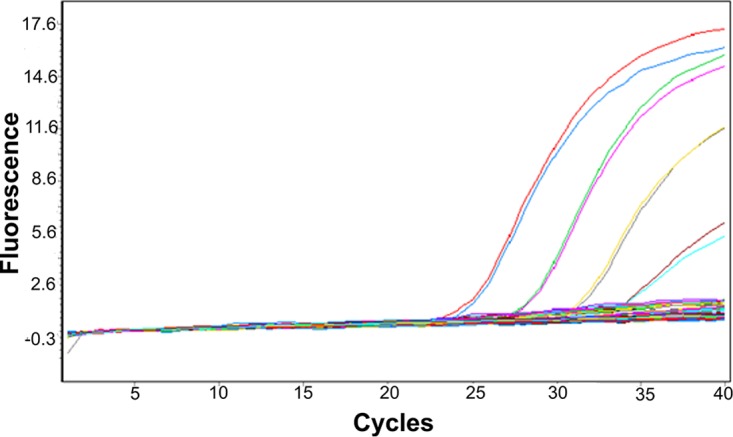 FIG 1