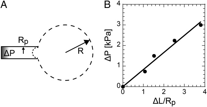 Fig. 5.