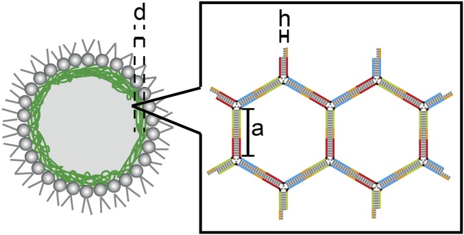 Fig. 7.