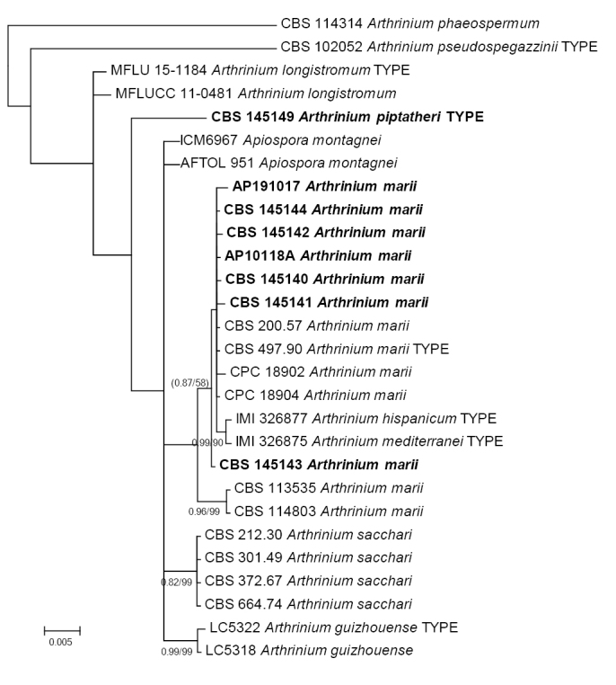 Figure 2.