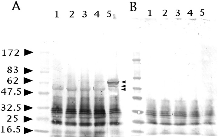 Fig. 9.