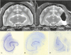 Fig 7