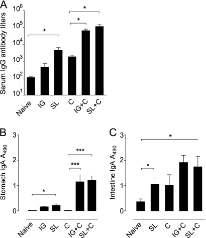 FIG. 2.