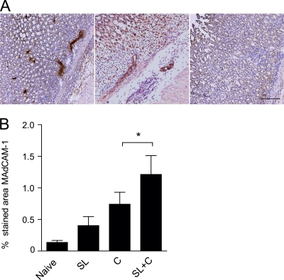 FIG. 6.