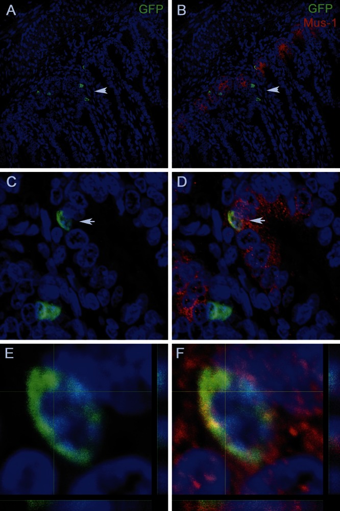 Figure 5.