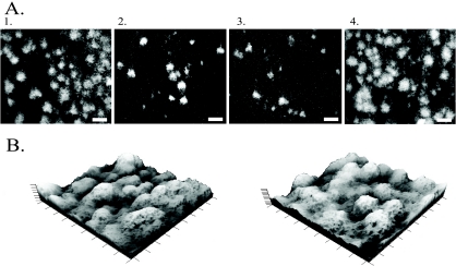 FIG. 4.