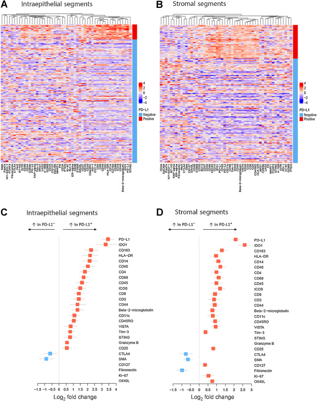 Figure 3. Heatmaps of high-plex DSP-derived protein abundance in intraepithelial tumor (A) or stromal (B) segments from PD-L1+ (red bar) versus PD-L1− TNBC (light blue bar). Quantitative protein abundance data were averaged per tumor (for those with >1 tissue core in TMA), log2 transformed, and scaled. C and D, Forest plots of DSP data demonstrating immune protein targets with significantly increased or decreased abundance in PD-L1+ intraepithelial tumor segments (C) or stromal segments (D) compared with PD-L1− segments (Red squares: log2 fold change > 0.3; adjusted P < 0.05; blue squares: log2 fold change < −0.5; adjusted P < 0.05).