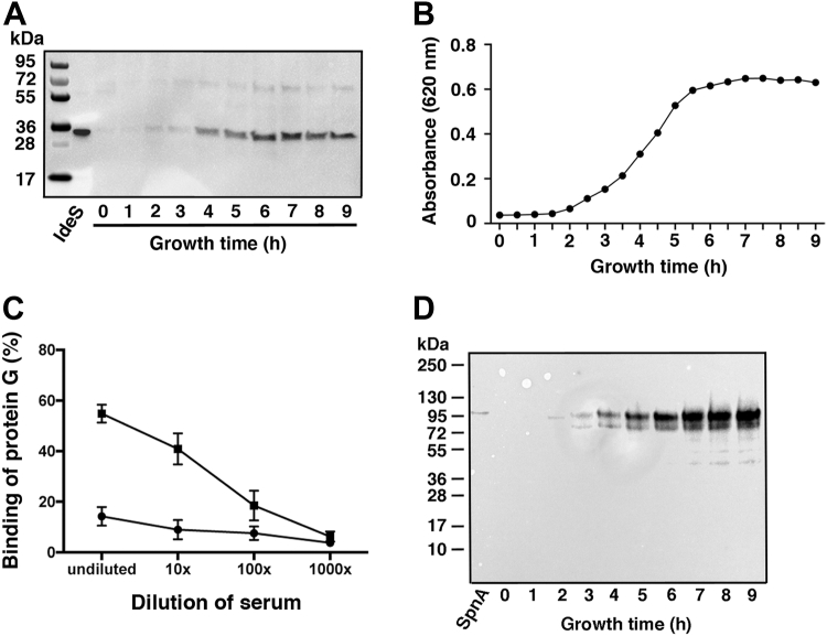 Figure 2