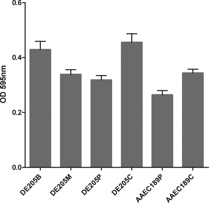 FIG. 2.