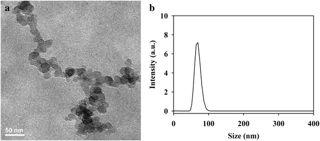 Fig. 1