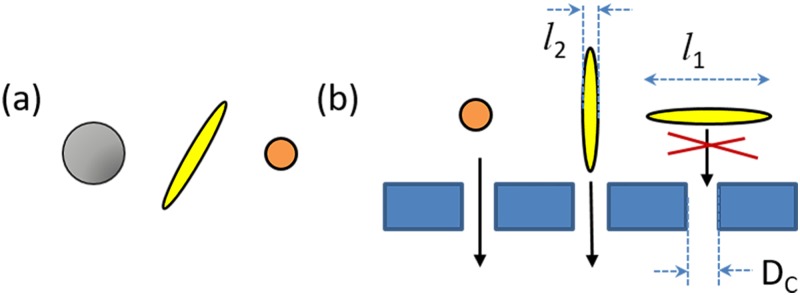 FIG. 1.