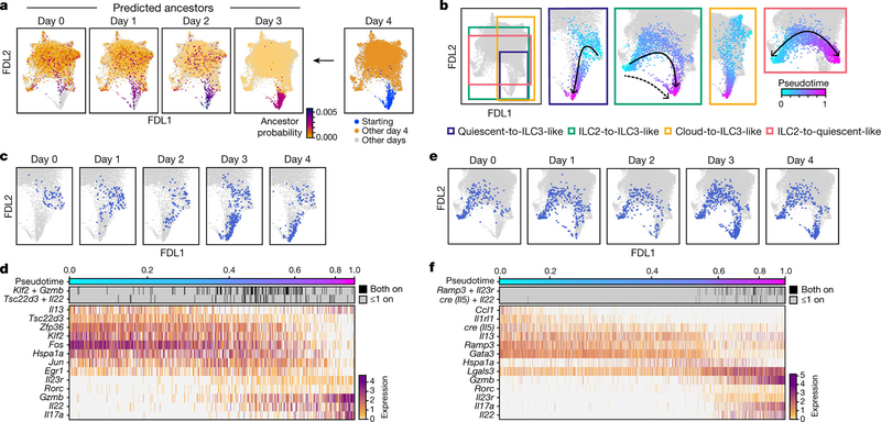 Fig. 2: