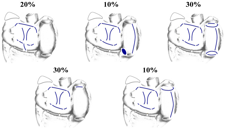 Figure 19