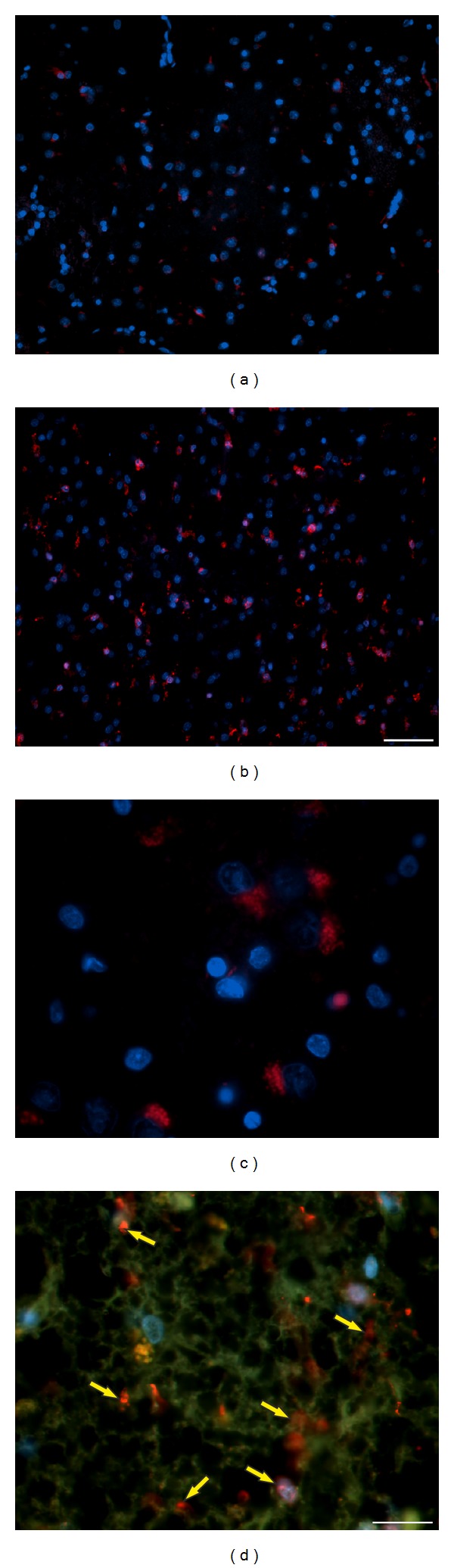 Figure 13