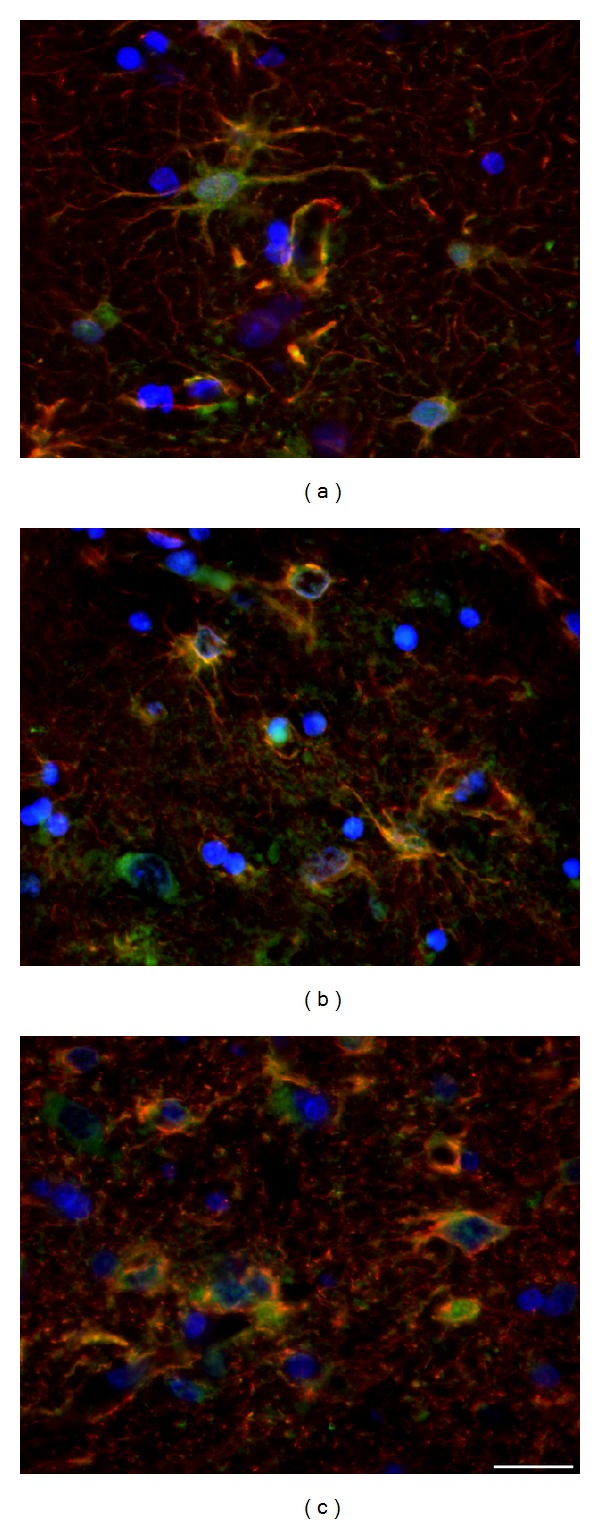 Figure 10