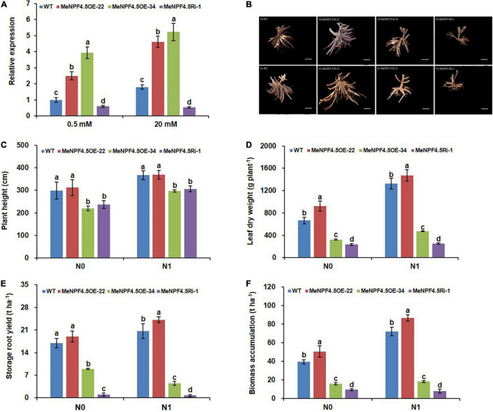 FIGURE 3