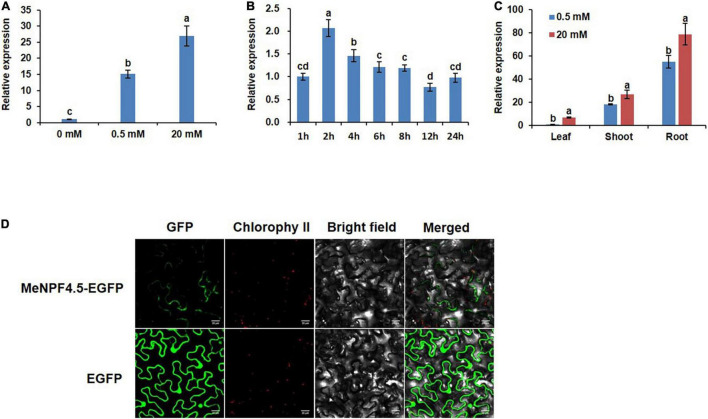 FIGURE 2