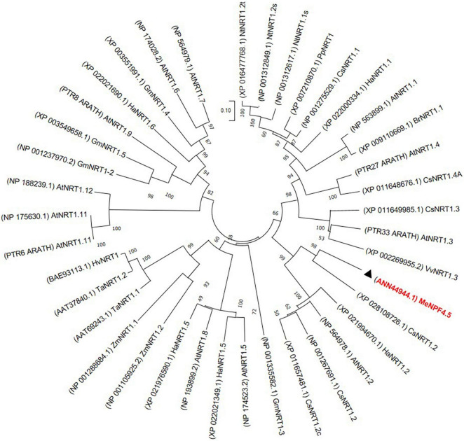 FIGURE 1