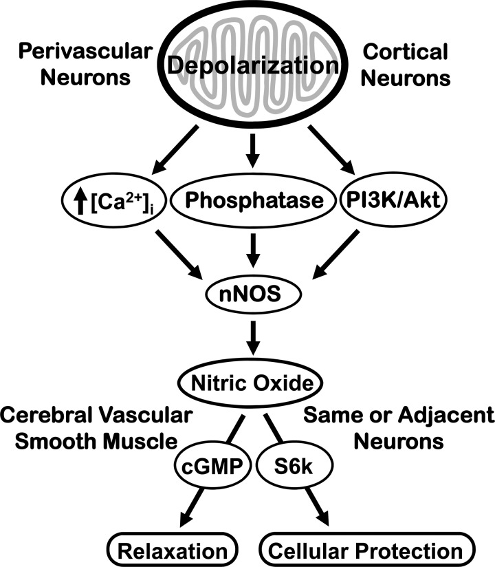 Fig. 8.