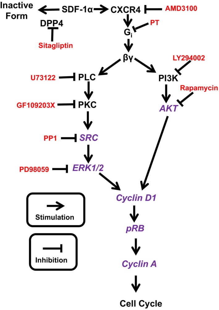 Figure 18