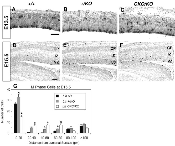 Fig. 9.