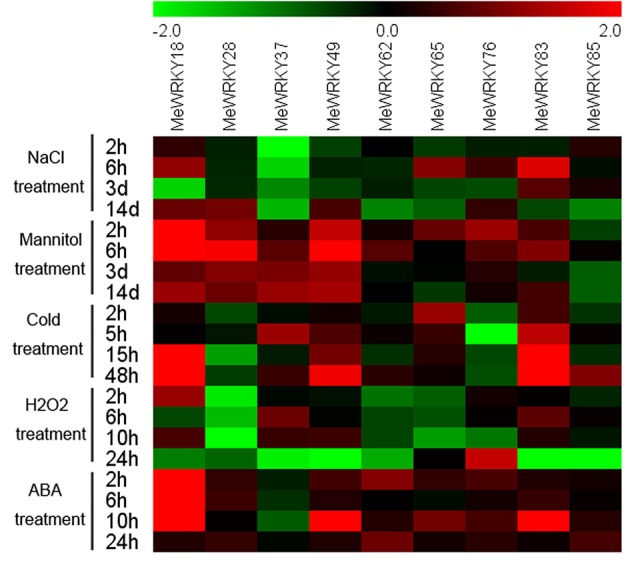 Figure 11