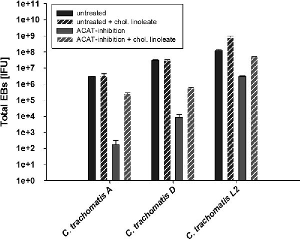 Graphical Abstract Figure.