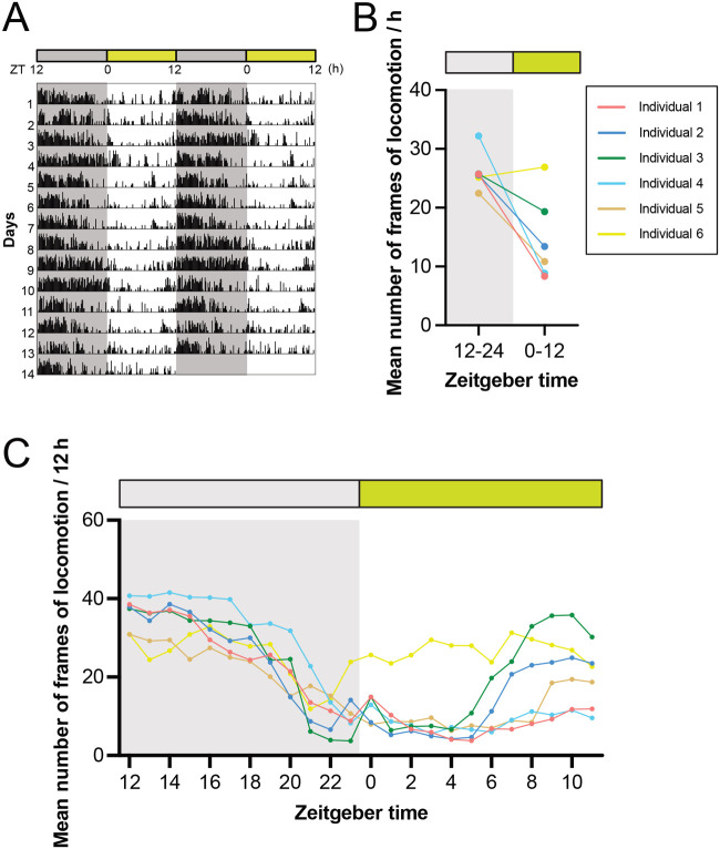 Fig. 3.