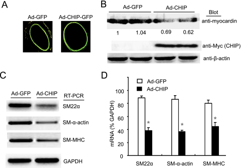 FIG. 7.