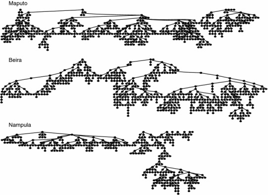 Fig. 1